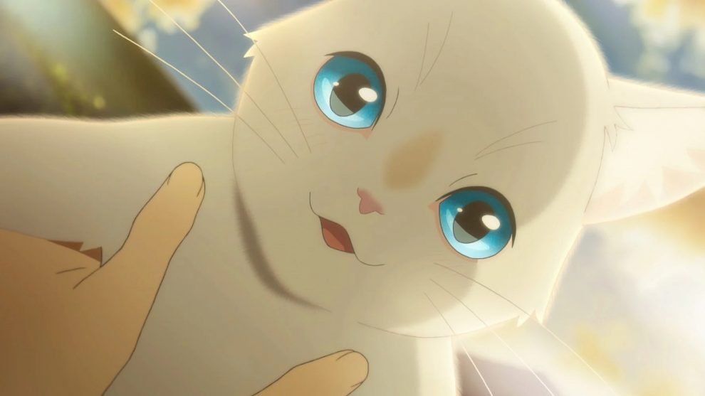 Miyo Un Amore Felino Un Immagine Del Film Animato