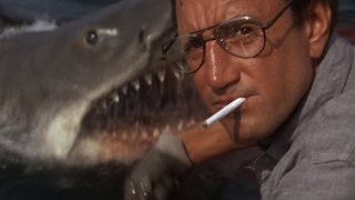 Roy Scheider in una scena de Lo Squalo