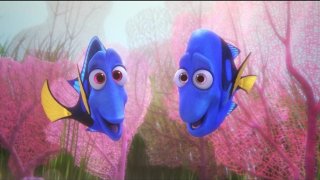 Alla ricerca di Dory: un momento del film d'animazione