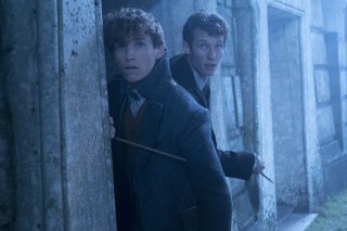 Animali Fantastici Eddie Redmayne