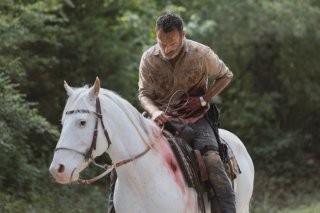 Twd 905 Jld 0621 04790 Rt