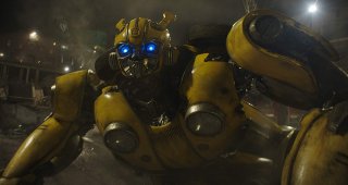 Bumblebee 18