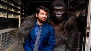Attenti Al Gorilla 5