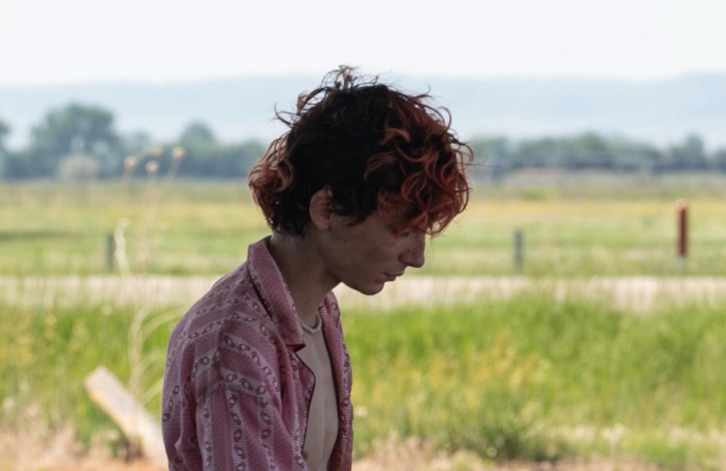 Bones All Timothée Chalamet nella prima foto del film di Luca Guadagnino