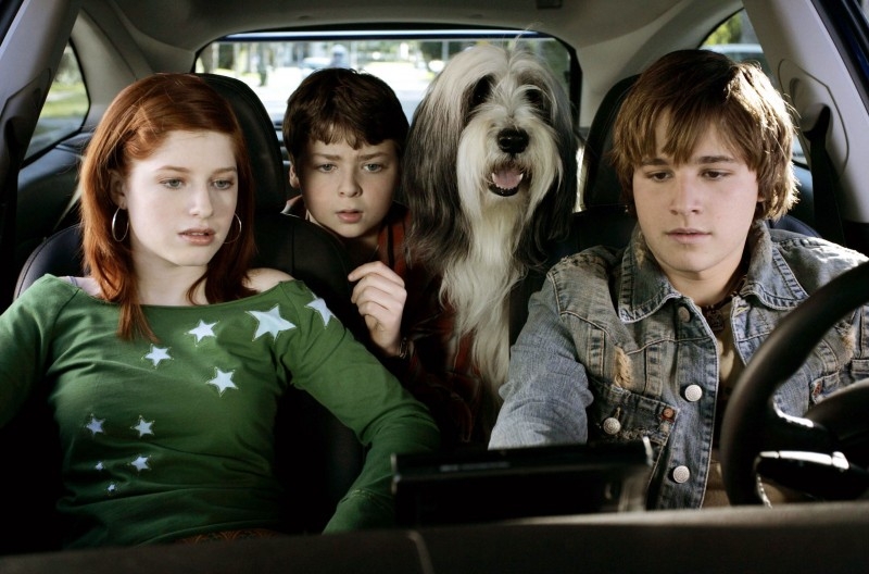 Shaggy Dog Papa Che Abbaia Non Morde