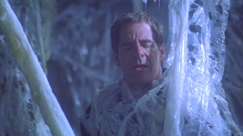 Film E Programmi Tv Di Scott Bakula