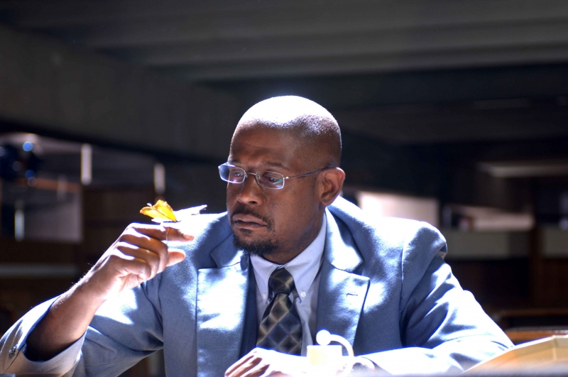 Film E Programmi Tv Di Forest Whitaker