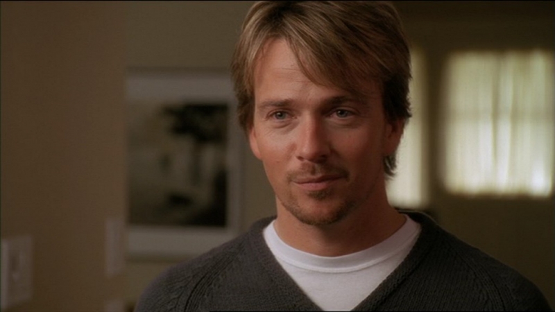 Films Et Séries Tv Avec Sean Patrick Flanery