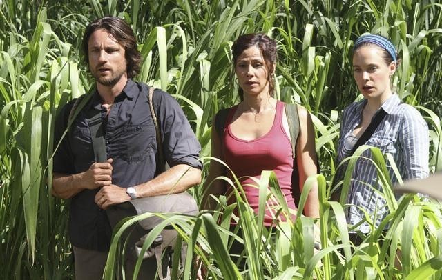 Film E Programmi Tv Di Martin Henderson