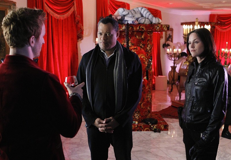 Csi - Scena Del Crimine - Stagione 11