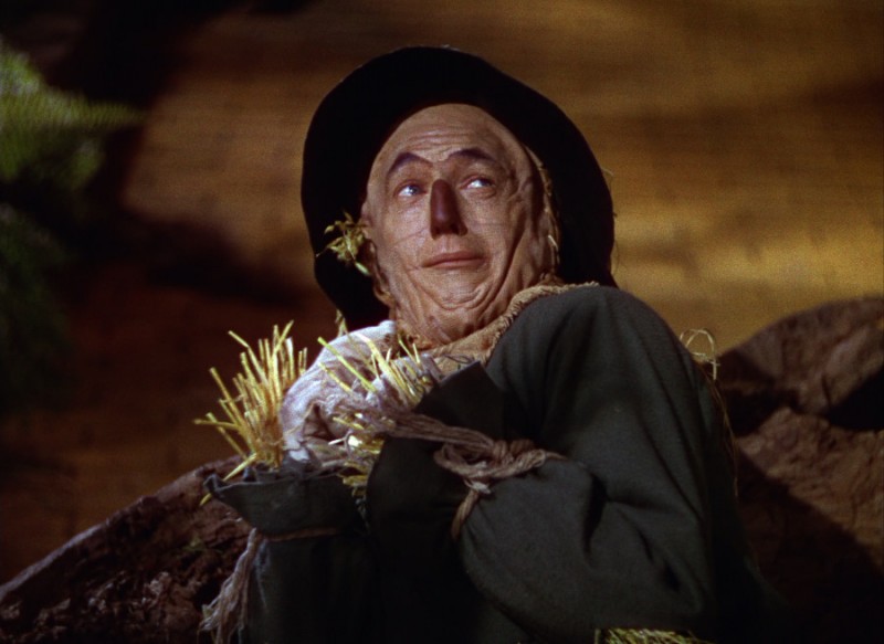 Ray Bolger in una scena del film Il mago di Oz: 216701 - Movieplayer.it