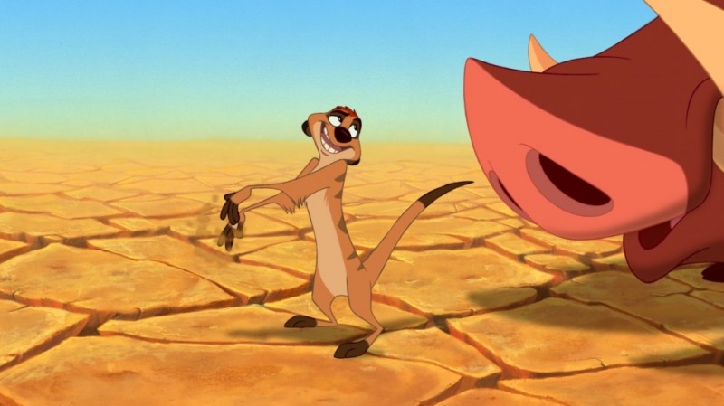 Che Animale è Timon Del Re Leone