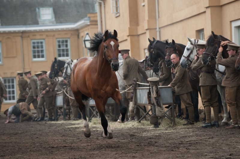 War Horse Film Completo In Italiano Gratis