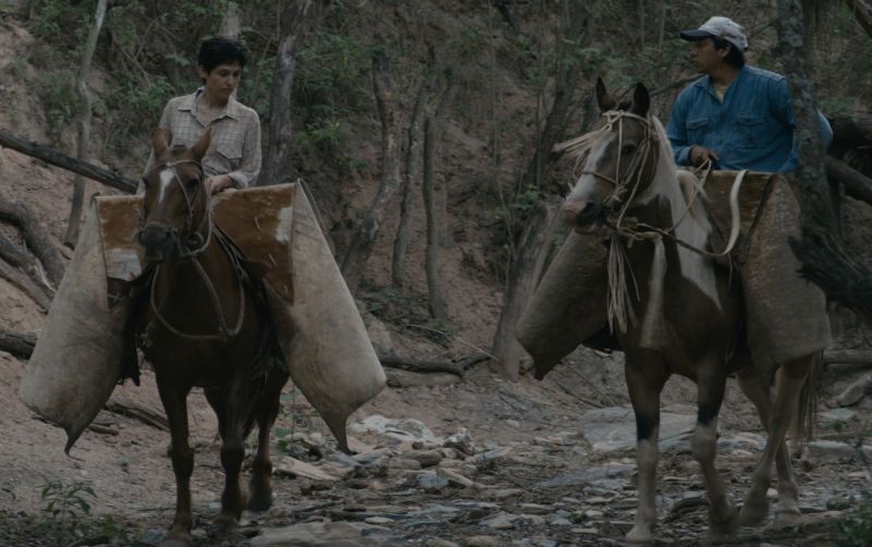 La Fuga Del Cavallo Morto Film Completo