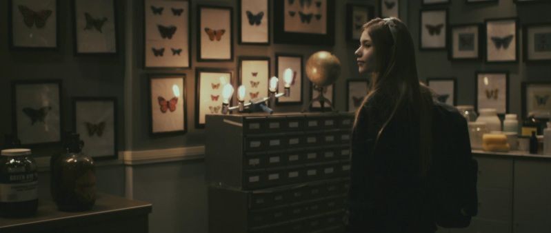 The Butterfly Room La Stanza Delle Farfalle