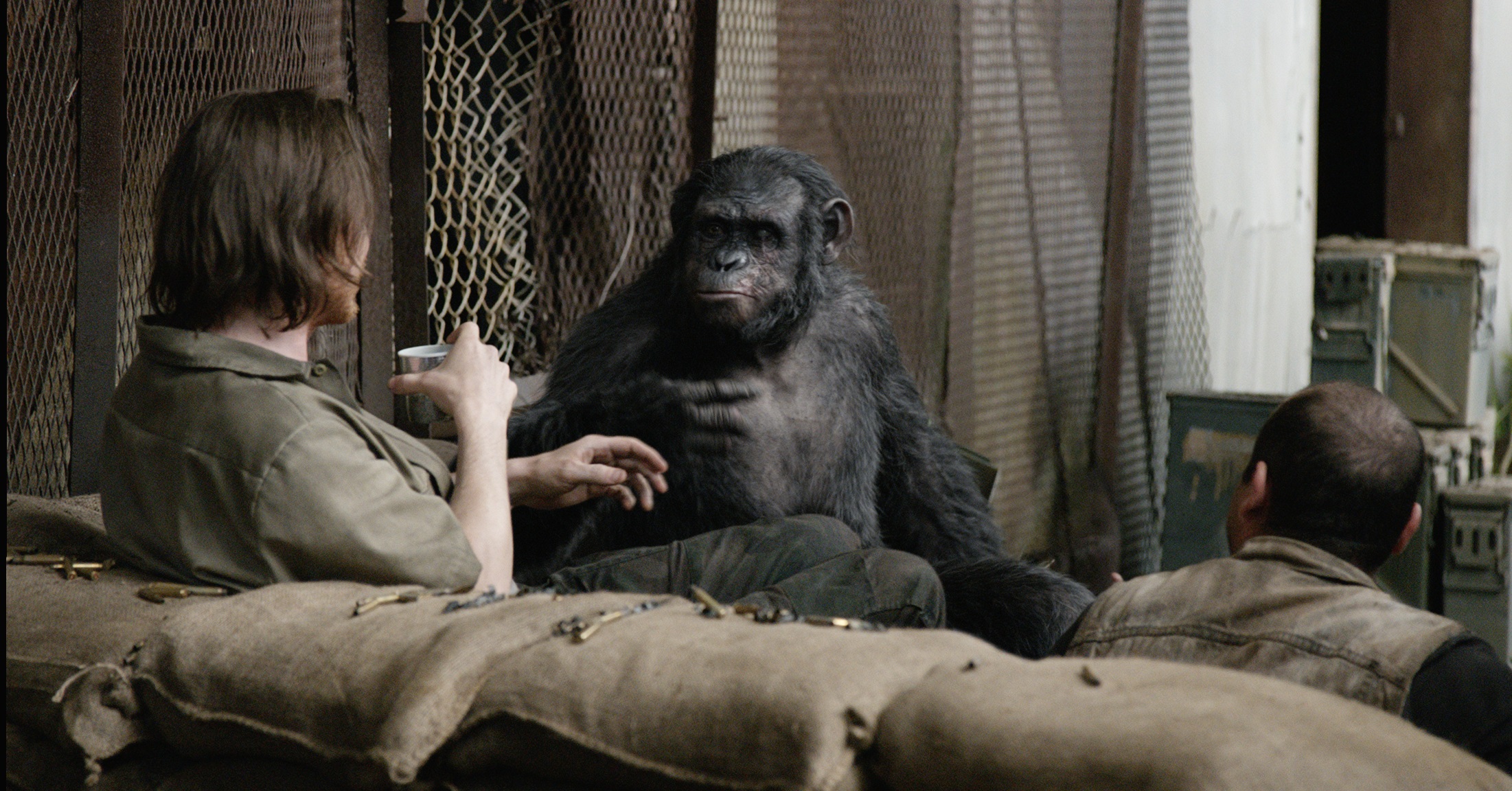 Apes Revolution - Il Pianeta Delle Scimmie Streaming