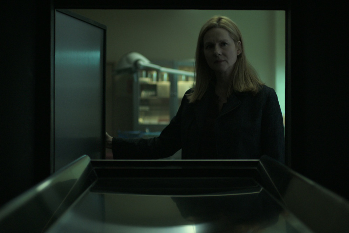 Film E Programmi Tv Di Laura Linney