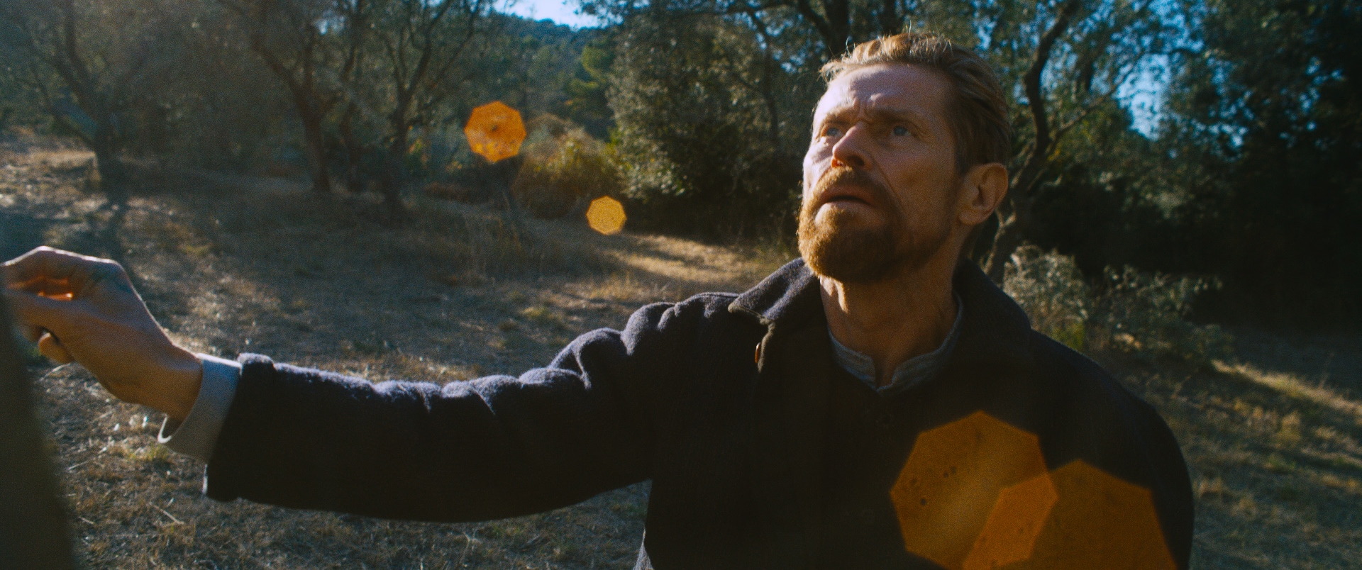 Van Gogh Sulla Soglia Dell Eternità Streaming Ita
