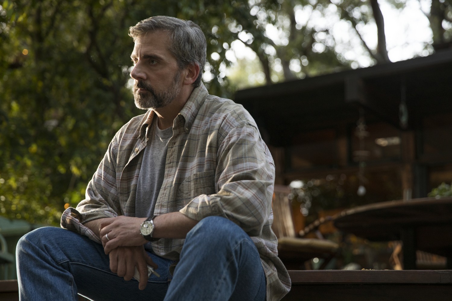 Film E Programmi Tv Di Steve Carell