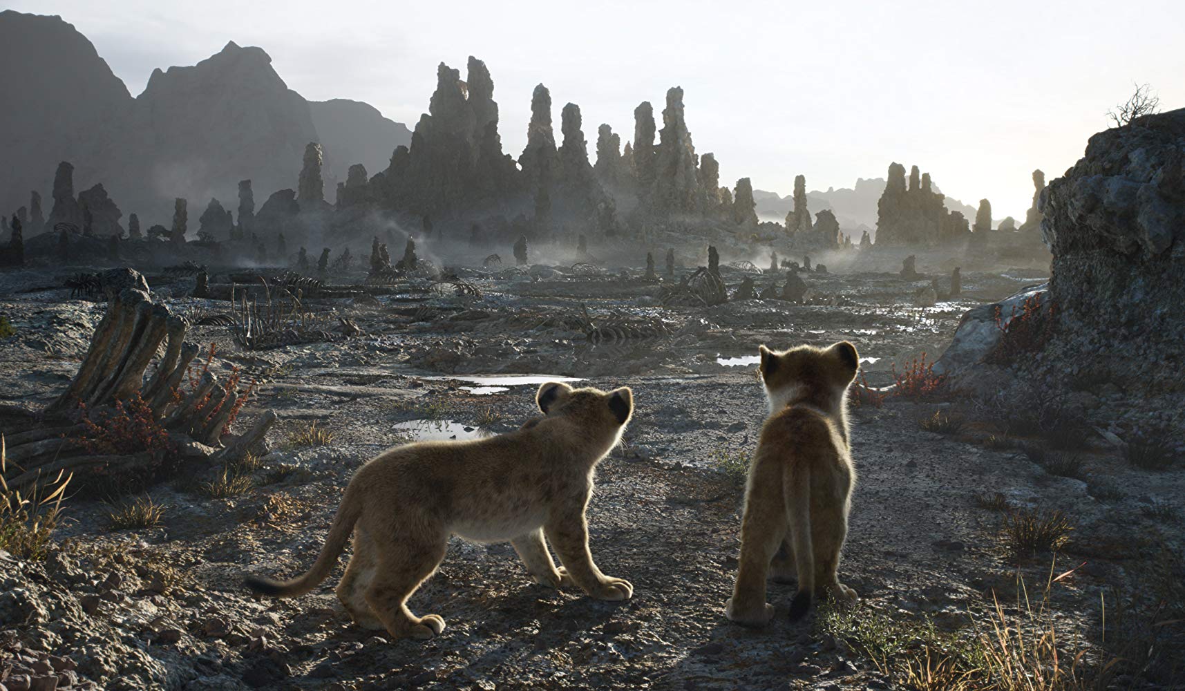 Il Lupo E Il Leone Film Streaming
