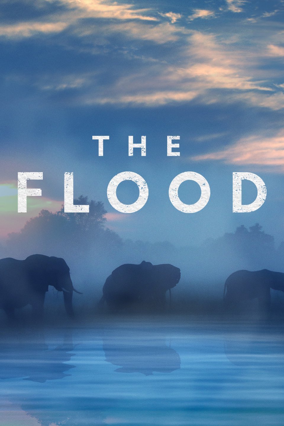 Locandina di The Flood 510316 Movieplayer.it
