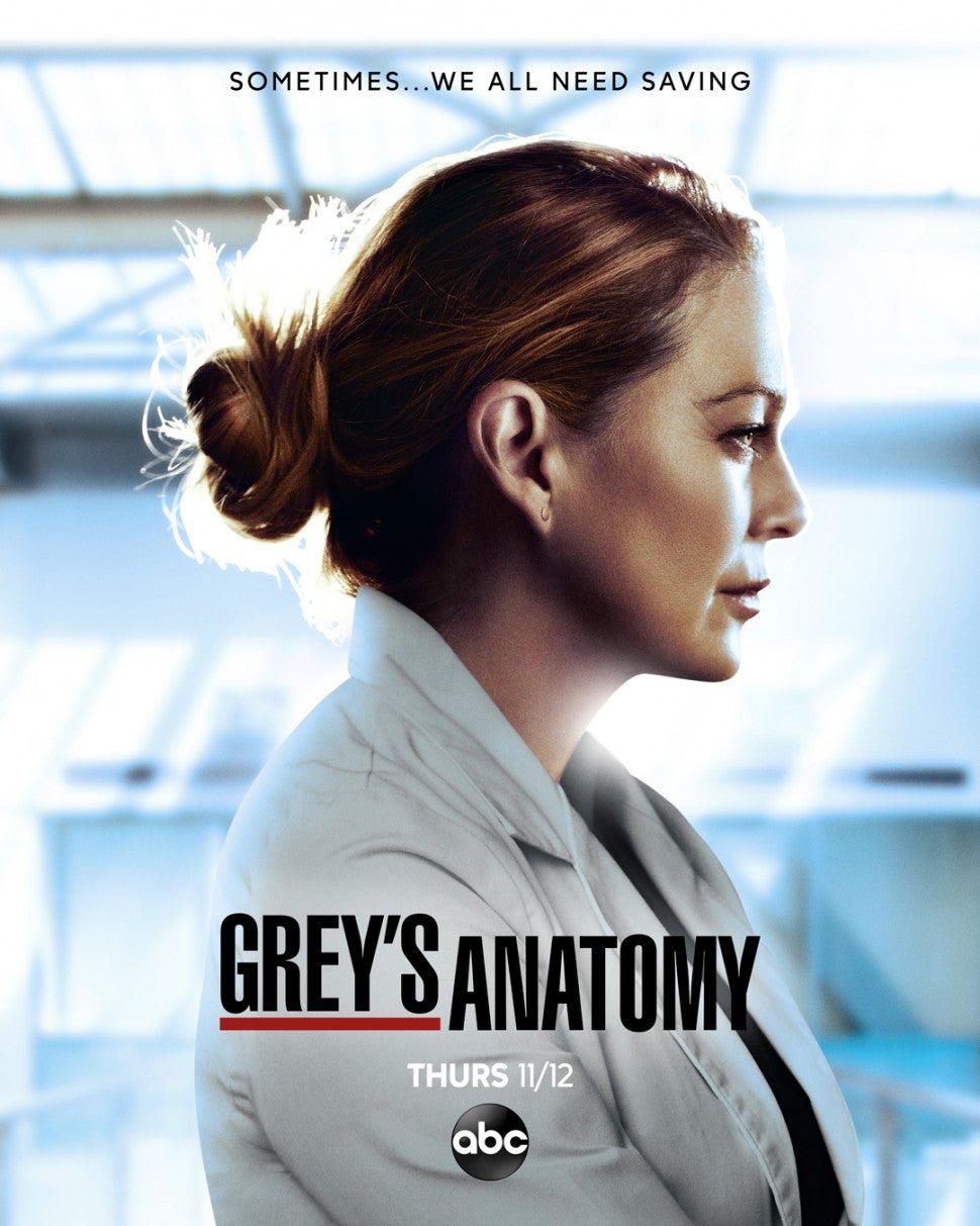 Grey's Anatomy: poster della stagione 17: 520369 ...