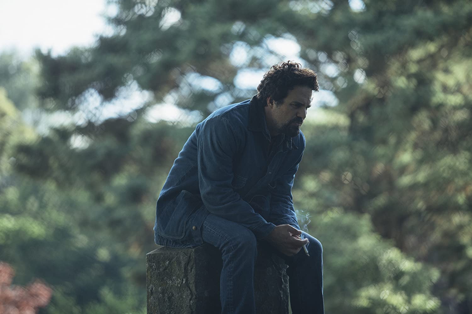Film E Programmi Tv Di Mark Ruffalo