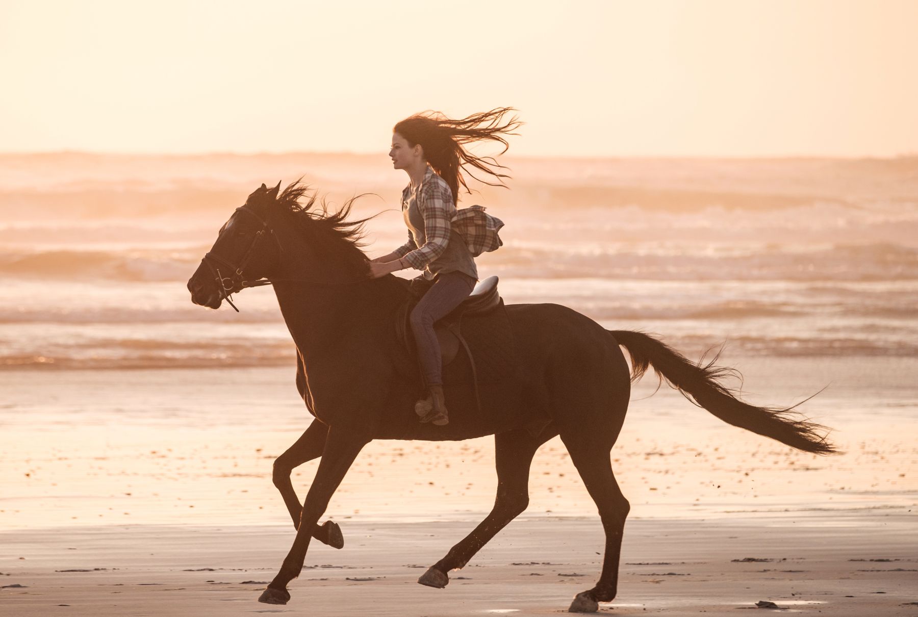 Black Beauty - Autobiografia Di Un Cavallo