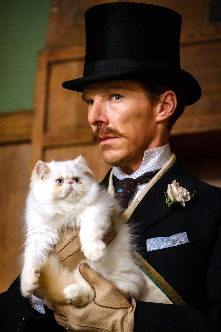 The Electrical Life Of Louis Wain Sortie France The Electrical Life of Louis Wain: Benedict Cumberbatch insieme a un