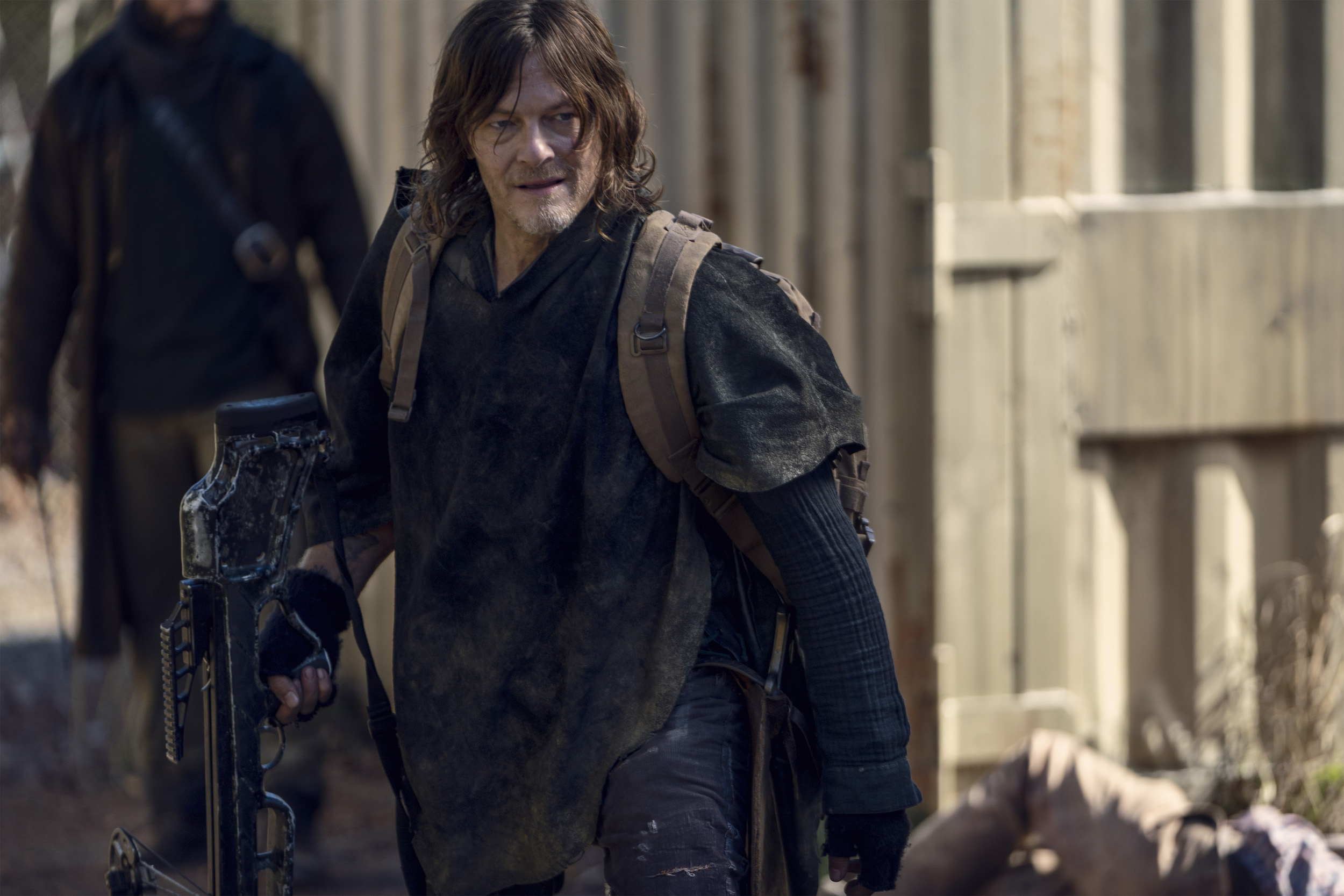 Film E Programmi Tv Di Norman Reedus