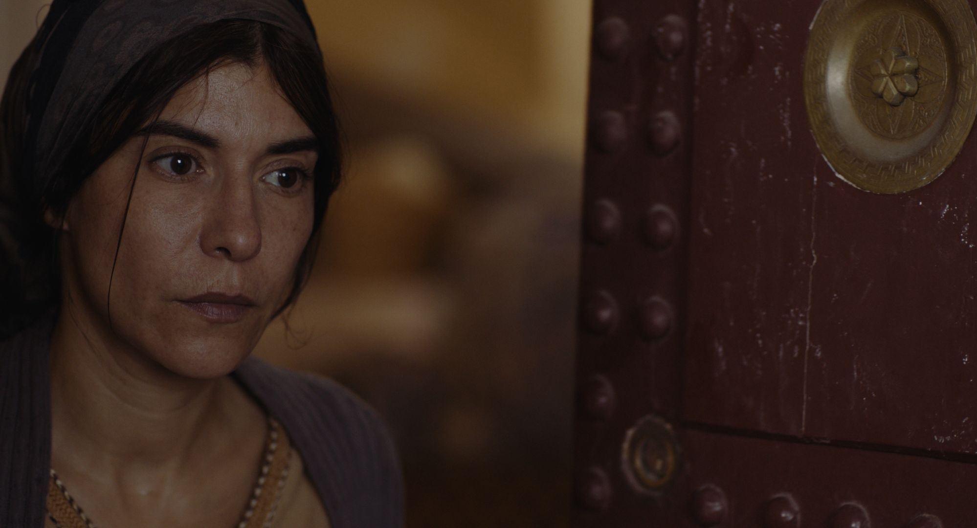 Films Et Séries Tv Avec Lubna Azabal Adam: Lubna Azabal in un primo piano: 536020 - Movieplayer.it