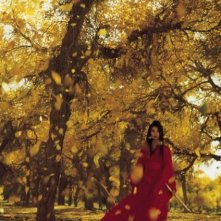 Maggie Cheung in una scena del capolavoro Hero