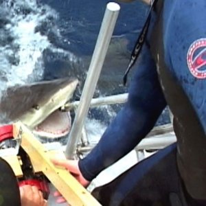 Una scena del film Open Water