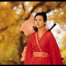 Zhang Ziyi in una scena del film Hero