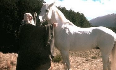 Gandal il Bianco (Ina McKellen) accoglie il destriero Ombromanto