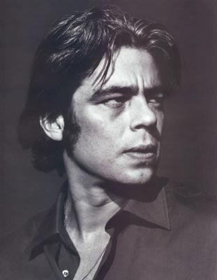 Benicio Del Toro 1319