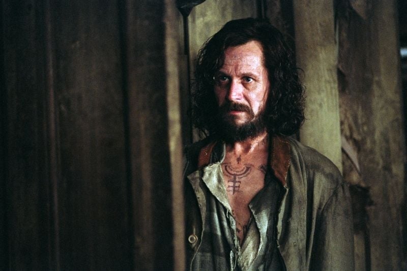 harry potter la nuova serie potrebbe svelare molti dettagli su sirius che i film non hanno mostrato
