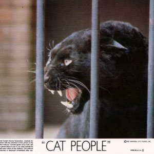 Suggestiva immagine promozionale per Il bacio della pantera