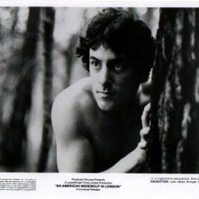 David Naughton in  una foto promozionale per Un lupo mannaro americano a Londra