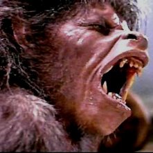 Un lupo mannaro americano a Londra