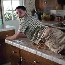 Jason Biggs in una scena imbarazzante di American Pie