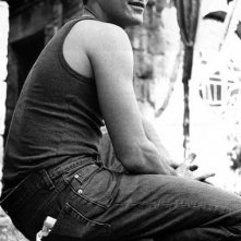 Joaquin Phoenix 4637