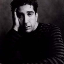 David Schwimmer