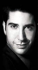 David Schwimmer