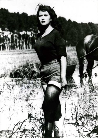 Silvana Mangano in una scena di Riso amaro