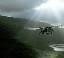 Una bella scena di Harry Potter e il prigioniero di Azkaban