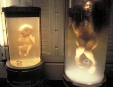 Una scena di Alien: La clonazione