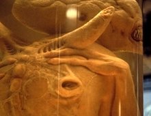 Una scena di Alien: La clonazione