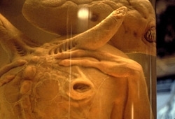 Una scena di Alien: La clonazione