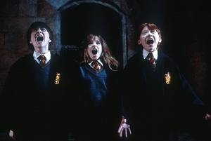 Daniel Radcliffe Emma Watson E Rupert Grint In Una Scena Di Harry Potter E La Pietra Filosofale 5678